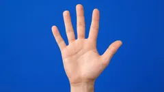 何にも代えがたいマッサージ：なぜ指をマッサージするのか、そして各指にはどんな働きがあるのか