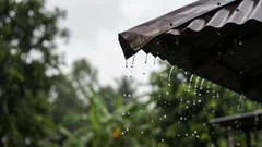 ベテラン園芸家の秘訣：雨水を貯めて収穫量を増やす方法