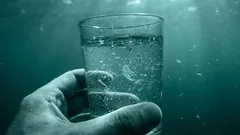 水中のマイクロプラスチック：科学者が実態を明らかに――その結果は驚くべきものだった