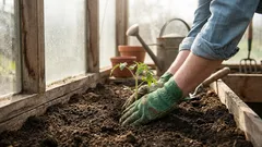 4月に露地、温室、そして苗に何を植えるか：保存しておきたいリスト