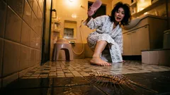 お宅のバスルームでこれを見かけましたか? 30本の足と、誰も語らない驚くべき効能